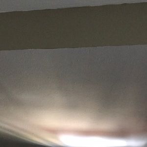 Meet your Posher, Dee